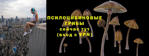 ALPHA PVP Белокуриха