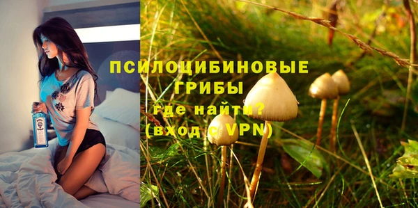 ALPHA PVP Белокуриха