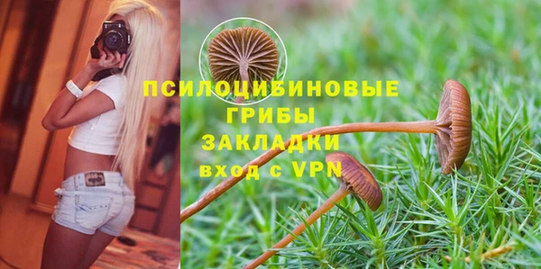 спайс Беломорск
